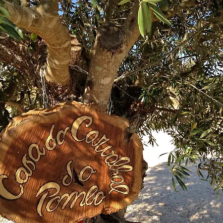 Bed & Breakfast Casa Do Carvalhal do Pombo
