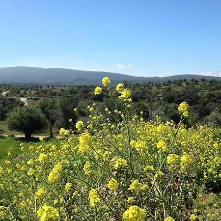 Casa Do Bed and breakfast Carvalhal do Pombo