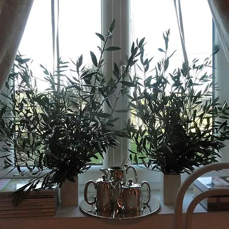 Casa Do Bed & Breakfast *