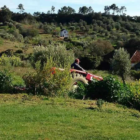 Bed & Breakfast Casa Do Carvalhal do Pombo