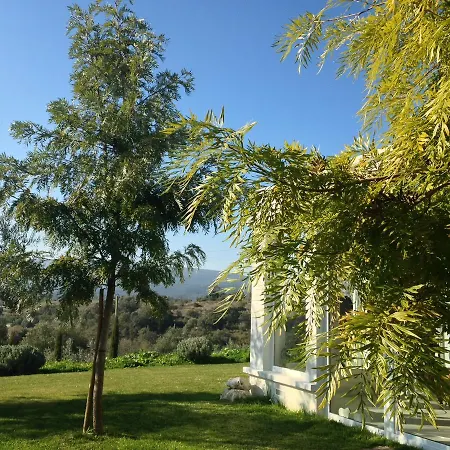 Bed & Breakfast Casa Do Carvalhal do Pombo