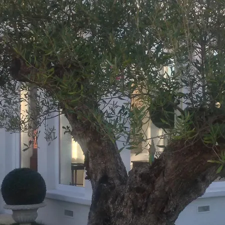 Casa Do Carvalhal do Pombo