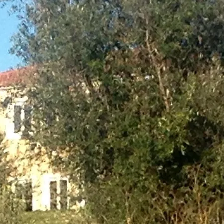 Bed & Breakfast Casa Do *
